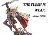 THE FLESH IS WEAK. - Horus (M43)