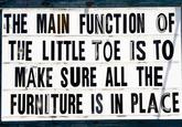 THE MAIN FUNCTION OF THE LITTLE TOE IS TO MAKE SURE ALL THE FURNITURE IS IN PLACE