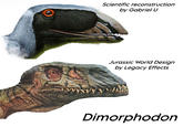Scientific reconstruction by Gabriel U Jurassic World Design by Legacy Effects Dimorphodon