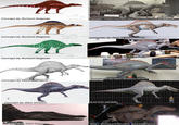 Concept by Richard Delgado JP.III SPINOSAUr color schem RIDELGADO Concept maquette by Stan Winston studio. Concept by Richard Delgado Concept by Richard Delgado JPIII Spinosaur color scheme RIDELGADO maquette by Stan Winston studio JPIIL Spinosaur color schon maquette by Stan Winston studio CLINOW TRO maquette by Stan Winston studio Concept by Mark McCreery Concept by Stan Winston ILM CGI MODEL Puppet by Stan Winston STAN WINSTON Stan Winston Studio Animatronic
