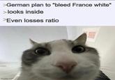 >German plan to "bleed France white" > looks inside >Even losses ratio imgflip.com