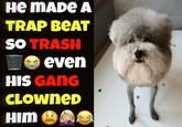 A "meme":https://knowyourmeme.com/memes/memes showing a poodle "dog":https://knowyourmeme.com/memes/subcultures/dogs and a caption reading, "He Made a Trap Beat So Trash Even His Gang Clowned Him."