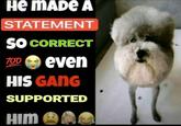 A "meme":https://knowyourmeme.com/memes/memes showing a poodle "dog":https://knowyourmeme.com/memes/subcultures/dogs and a caption reading, "He made a statement so correct..."