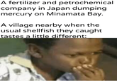 A fertilizer and petrochemical company in Japan dumping mercury on Minamata Bay. A village nearby when the usual shellfish they caught tastes a little different: