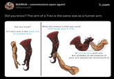 RIAMUS - commissions open again! @Riamus01 X.com Did you know? The arm of a Trex is the same size as a human arm. Did you know? A T-rex's arm is the same size as a human arm. What this means is that you could hold hands with a T-rex. Or arm wrestle with one. But probably at the expense of your arm (would not recommend it)