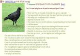 File: 1386662233025.jpg-(11 KB, 247x204, crow.jpg) Anonymous 12/10/13(Tue)18:57:13 UTC+11 No.520558752 [Reply] So /b/ I've been having fun over the past few weeks and figured I'd share. > Where I work there are thousands of crows that show up every single night. > They hang around for like 4 hours at night, then take off, and show up the next night. > Was reading up on crows because f--- it, interested. > Apparently they're smart as s---. > They recognize faces, and can form preferences in people depending on how they're treated. > A wild idea appears. > I start trying to piss off this group of crows that hang out in the trees near work. > I throw rocks at them, and shake the tree and chase them whenever I can. > Meanwhile, the grass crows across the street, just chill by the mcdicks. > Every time I go to mcd's, I get extra large fries, and feed the grass crows. > They start to like me, while the tree crows hate my s---. > Tree crows throw nuts and try to s--- on me all the time (i dodge bird s--- like I dodge wrenches now) > Grass crows still super bros, and now try to follow me when I walk into mcd's. > I keep this up for a few more weeks, and I'm noticing a bigger divide in the crows. > Grass crows now follow me across the road to make sure I get back to work safe. > Tree crows getting more aggressive and sit on my building and wait for me to walk out. > I've created a great war between two formerly friendly nations. > World War Crow commences. > I am fueling it with french fries..