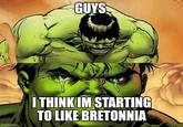 GUYS imgflip.com I THINKIM STARTING TO LIKE BRETONNIA