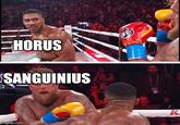 HORUS SANGUINIUS imgflip.com K