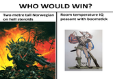 WHO WOULD WIN? Two metre tall Norwegian Room temperature IQ on hell steroids peasant with boomstick MM Niclas Weldeman briefinalergi?urnberg bey der Langenbrückenr