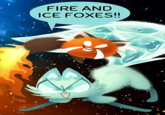 FIRE AND ICE FOXES!!