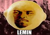 LEMIN