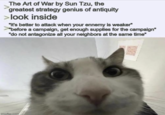 The Art of War by Sun Tzu, the greatest strategy genius of antiquity look inside "it's better to attack when your ennemy is weaker" "before a campaign, get enough supplies for the campaign" "do not antagonize all your neighbors at the same time" imgflip.com