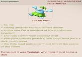 Anonymous 5/22/2025, 4:20:03 PM No.21186767 225 KB PNG > be me > having another Mario-themed dream > in this one I'm a resident of the mushroom kingdom > a tv was stolen from coconut mall > everyone blames peach's new boyfriend (he's a dark mushroom) > the little toad police can't put him at the scene of the crime Turns out it was Waluigi, who took it just to be a d---