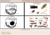 Anonymous 12/22/25(Mon) 19:35:59 No.83460018 2.96 MB JPG >bug, land >bug, ocean Q123RF