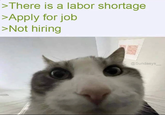 >There is a labor shortage >Apply for job >Not hiring @Sundaeys