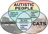 AUTISTIC PEOPLE LIKES TO COLLECT STUFF ENDERMEN THREATENED BY EYE CONTACT DOESNT LIKE WATER DOESNT LIKE LOUD NOISES CATS