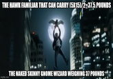 THE HAWK FAMILIAR THAT CAN CARRY (5X15)/2=37.5 POUNDS imgflip.com THE NAKED SKINNY GNOME WIZARD WEIGHING 37 POUNDS