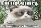 I'm not angry, ROFLBOT I'm happiness challenged.