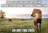 OH BOY I SURE DO LOVE BEING A HORSE IN ENUMCLAW, WASHINGTON imgflip.com ON JULY 2ND 2005