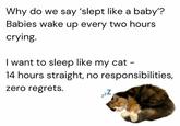 Why do we say 'slept like a baby'? Babies wake up every two hours crying. I want to sleep like my cat - 14 hours straight, no responsibilities, zero regrets. zzZ