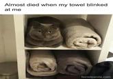 Almost died when my towel blinked at me boredpanda.com