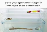 pov: you open the fridge in my rope trick dimension
