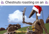 JJ Chestnuts roasting on an Open fire!