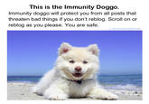 A Tumblr version of the immunity doggo meme.