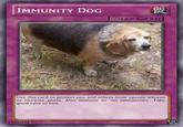 IMMUNITY DOG [TRAP CARD] Use this card to protect you and others from upvote w----- or likewise posts. Also immune to 'no immunities'. Take good care of him. 81260134 5- ©2017 YU-G