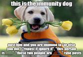this is the immunity dog post him and you are immune to "or else you die", "repost if ignore if", "this person is ","these two people are "type posts imgflip.com