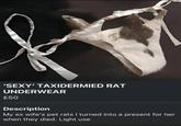 D 'SEXY' TAXIDERMIED RAT UNDERWEAR £50 Description My ex wife's pet rats I turned into a present for her when they died. Light use
