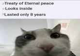 >Treaty of Eternal peace >Looks inside >Lasted only 8 years
