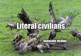 Literal civilians Genocide victims