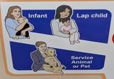 Infant Lap child Service Animal or Pet
