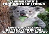 THE WIZARD'S FACE WHEN HE LEARNS KNOWLEDGE CLERICS DON'T HAVE TO BUY THE F------ PEARL FOR IDENTIFY imgflip.com