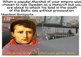 When a popular Marshal of your empire was chosen to rule Sweden as a monarch but you are about to attack his land in the south of the Baltic sea without provocation. Napoleon Bonaparte : THINK I'm gonna do what's called a pro-gamer move.