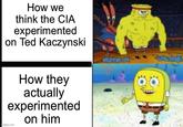 How we think the CIA experimented on Ted Kaczynski How they actually experimented imgflip.com on him