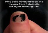 Why does my thumb look like the guy from Ratatouille talking to an orangutan