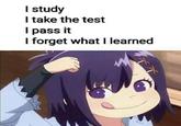 I study I take the test I pass it I forget what I learned