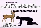 i believe in SMALL SIZED CHARACTER RIDING A MEDIUM SIZED FAMILIAR SUPREMACY IT HAS AGILE AS WELL imgflip.com