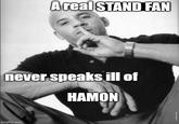 A real STAND FAN never speaks ill of HAMON imgflip.com
