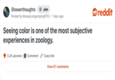 Showerthoughts + Join Posted by Moose Longjumping9752 - 7 days ago Seeing color is one of the most subjective experiences in zoology. 3.2K upvotes Comment Copy link View 67 comments reddit
