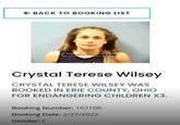 A screenshot showing that Crystal Wilsey, who went viral for being racist at Cinnabon, was arrested for child endangerment. This is alleged and not 100% verified.