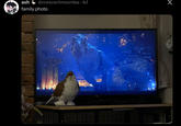 ash @crescentmoontea .4d family photo ZELLYS PALACE Х