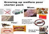Growing up welfare poor starter pack Х You: 2000 Mom: All your friends dropped out and started doing drugs by grade 10 Instant Ramen Noodles Chicken Bowlfull Nouilles rames Instantanées Poulet None of this is edible CANADIAN GOOSE