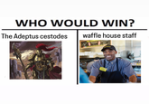 WHO WOULD WIN? The Adeptus cestodes waffle house staff