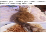 When you make yourself dinner before feeding the cat