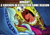 NOBODY: A CHICKEN IN A TREE FOR SOME REASON imqflip.com