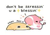 don't be stressin' u a blessin * PAT PAT*
