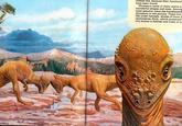 looked like, because their fossilized I have been found. Dinosaurs came in many weird ar wonderful shapes and sizes. Among most peculiar were the boneheaded dinosaurs in the picture. These had like crash helmets, domes of bone 2 centimetres thick, which protected tiny brains in battles and trials of st